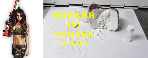 соль ск Зеленодольск