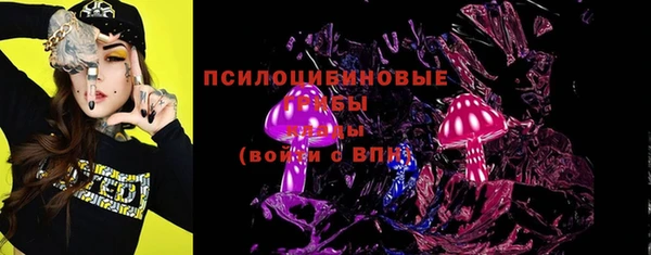 соль ск Зеленодольск